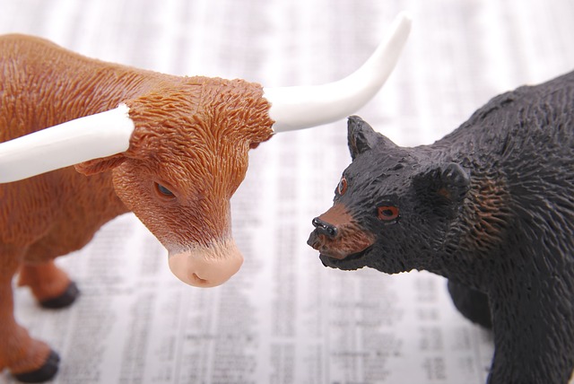 IMMFX blog: Trade Bull or Bear in the Forex Markets