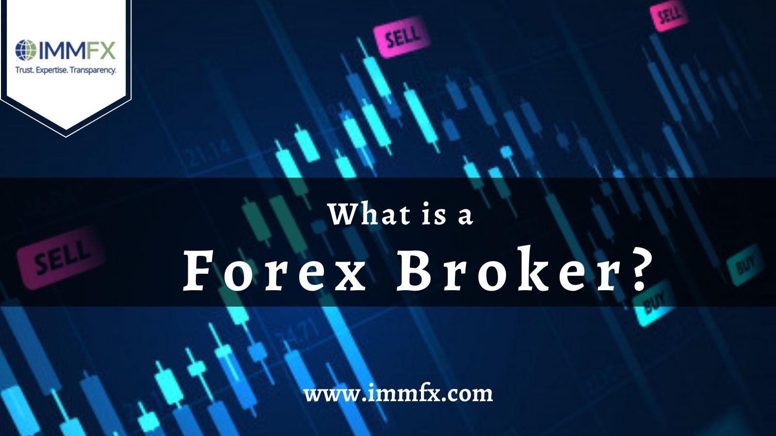 What is a Forex Broker, and how to choose the best? | IMMFX